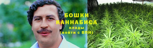 ГАЛЛЮЦИНОГЕННЫЕ ГРИБЫ Белоозёрский