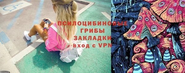 ГАЛЛЮЦИНОГЕННЫЕ ГРИБЫ Белоозёрский